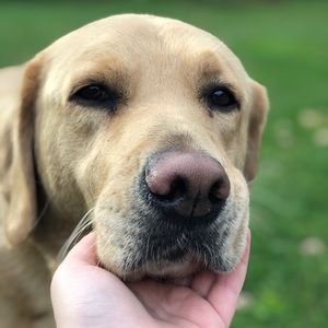 Meet your Posher, Jack